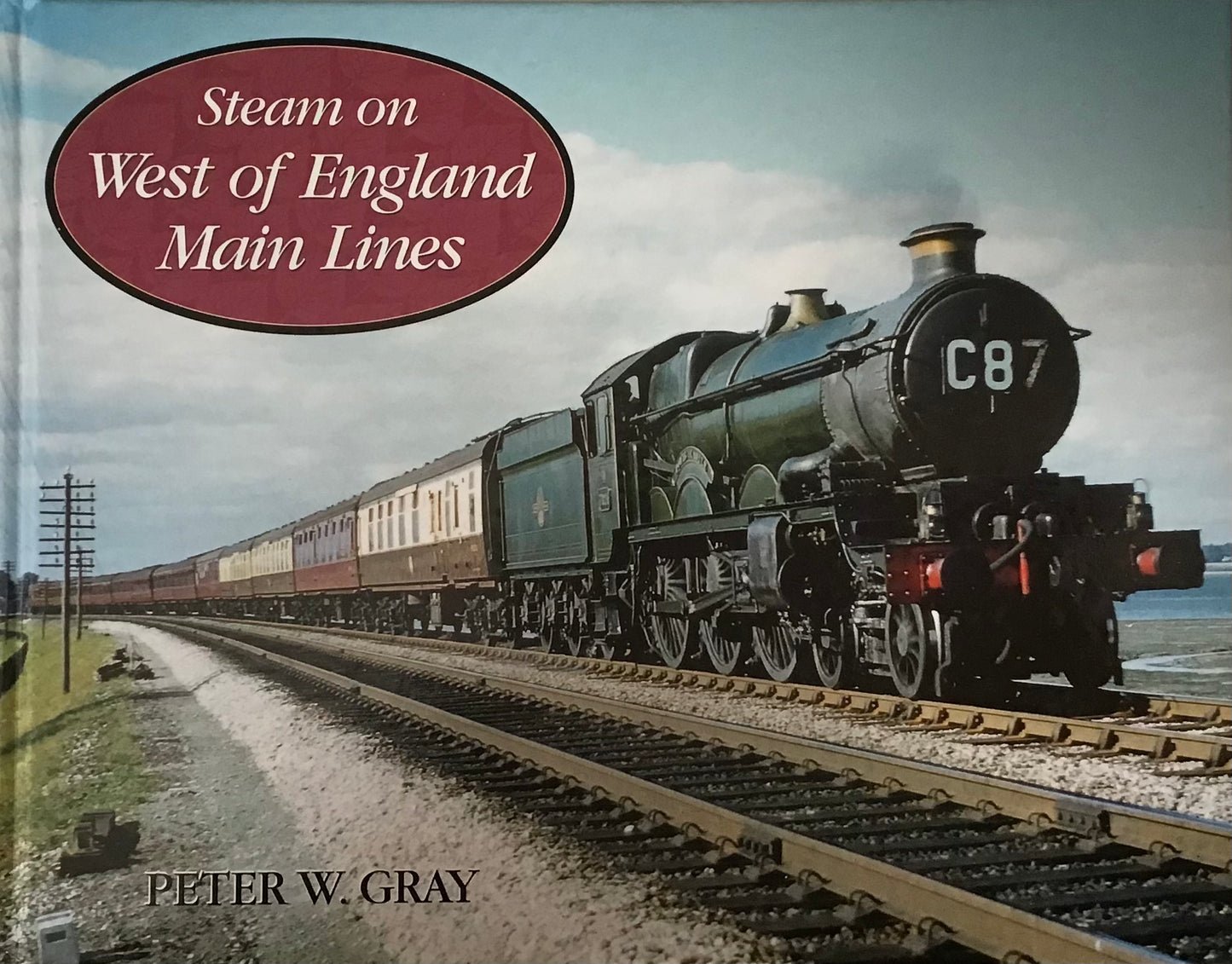 Steam on West of England Main Lines by Peter W. Gray - Chester Model Centre