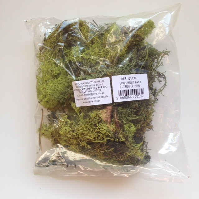 Bulk Pack Green Lichen - Chester Model Centre