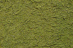 Diorama Texture Paint Grass Green Effect - Chester Model Centre