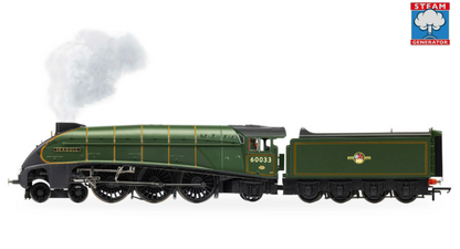HORNBY R30552SS BR Class A4 4-6-2 'SEAGULL' No.60033 (Steam Generator) HM7000 Fitted DCC and Sound
