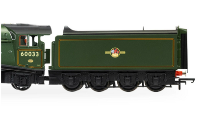 HORNBY R30552SS BR Class A4 4-6-2 'SEAGULL' No.60033 (Steam Generator) HM7000 Fitted DCC and Sound