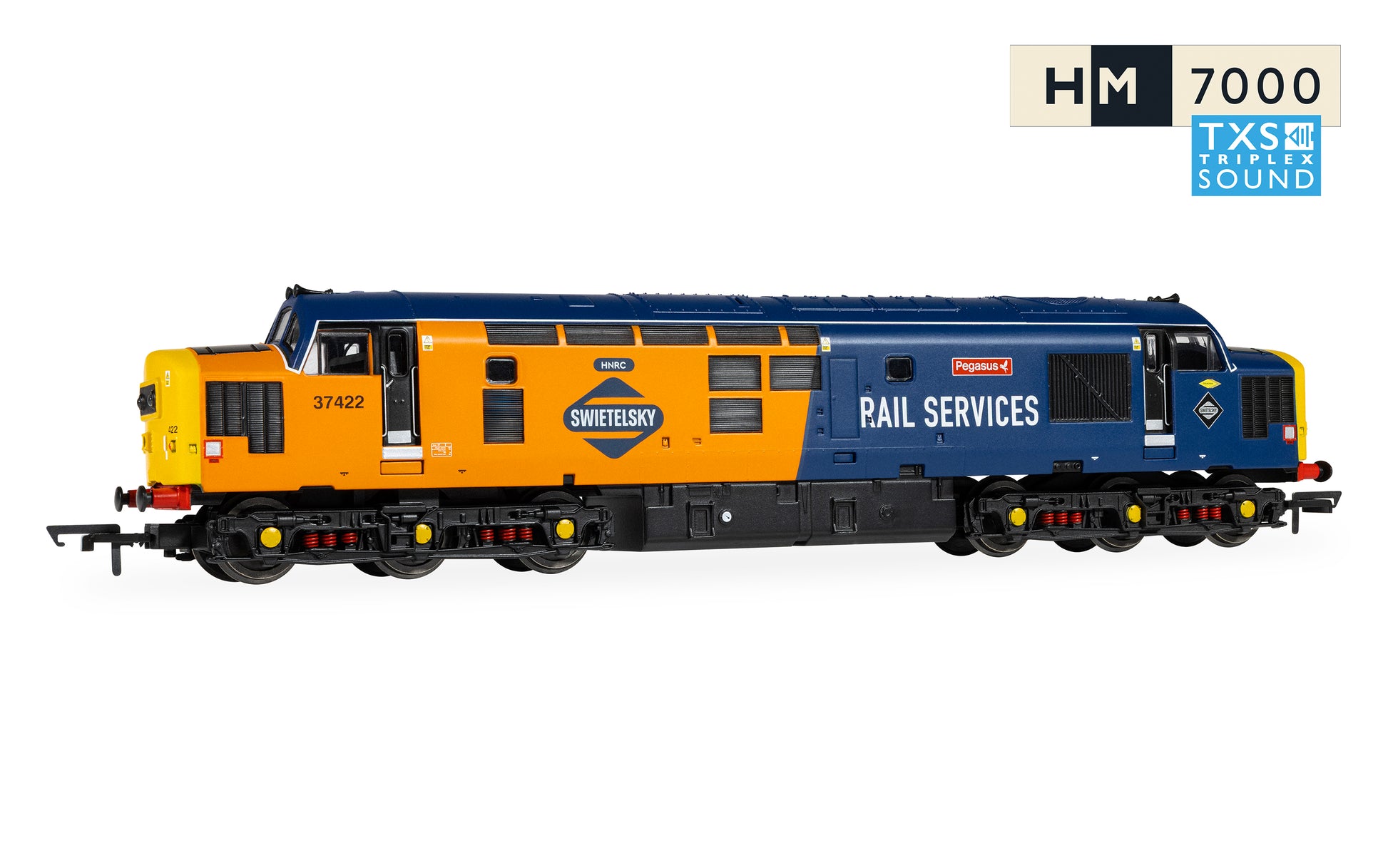 Hornby R30544TXS RailRoad: Rail Services - Class 37 - 'Pegasus' 37422 - Sound Fitted - Chester Model Centre