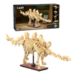 CaDa C59012W Dinosaur Fossils Stegosaurus - Chester Model Centre