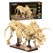 CaDa C59013W Dinosaur Fossils Triceratops - Chester Model Centre