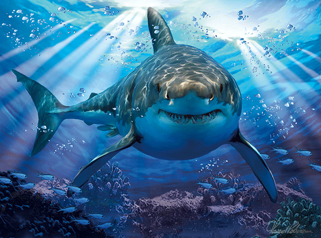 Great White Shark 63 piece 3D Jigsaw Puzzle - Chester Model Centre