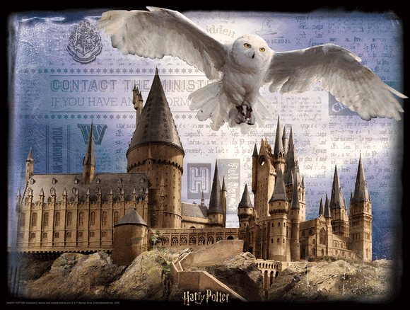 Harry Potter Hogwarts and Hedwig 3D 500 piece Jigsaw Puzzle - Chester Model Centre