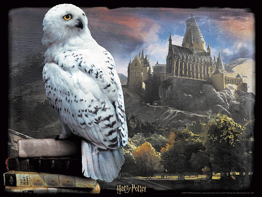 Harry Potter Hedwig 3D 500 piece Jigsaw Puzzle - Chester Model Centre