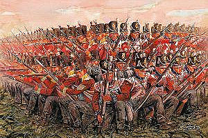 British Infantry 1815 - Chester Model Centre