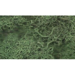 Dark Green Lichen - Chester Model Centre