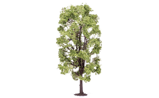 Lime Tree 18.5cm - Chester Model Centre