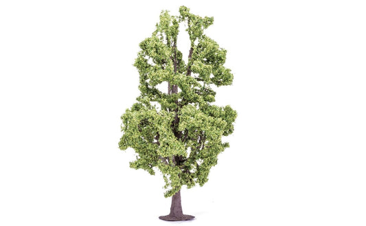 Lime Tree 18.5cm - Chester Model Centre